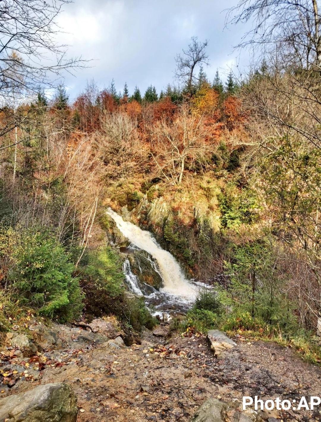 La Taniere Du Lac Robertville Zewnętrze zdjęcie