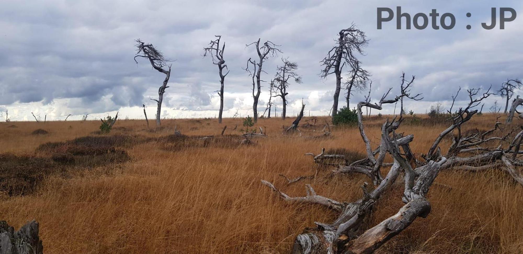 La Taniere Du Lac Robertville Zewnętrze zdjęcie